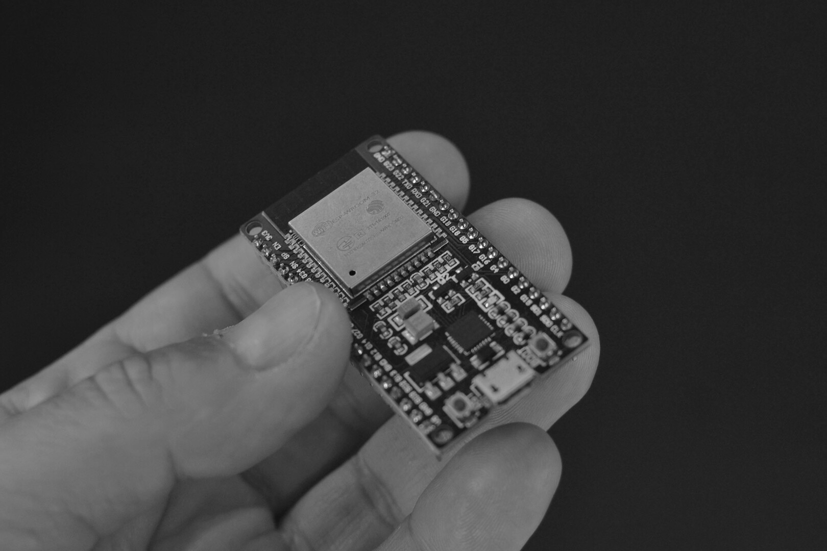 ESP32 microcontroller development board