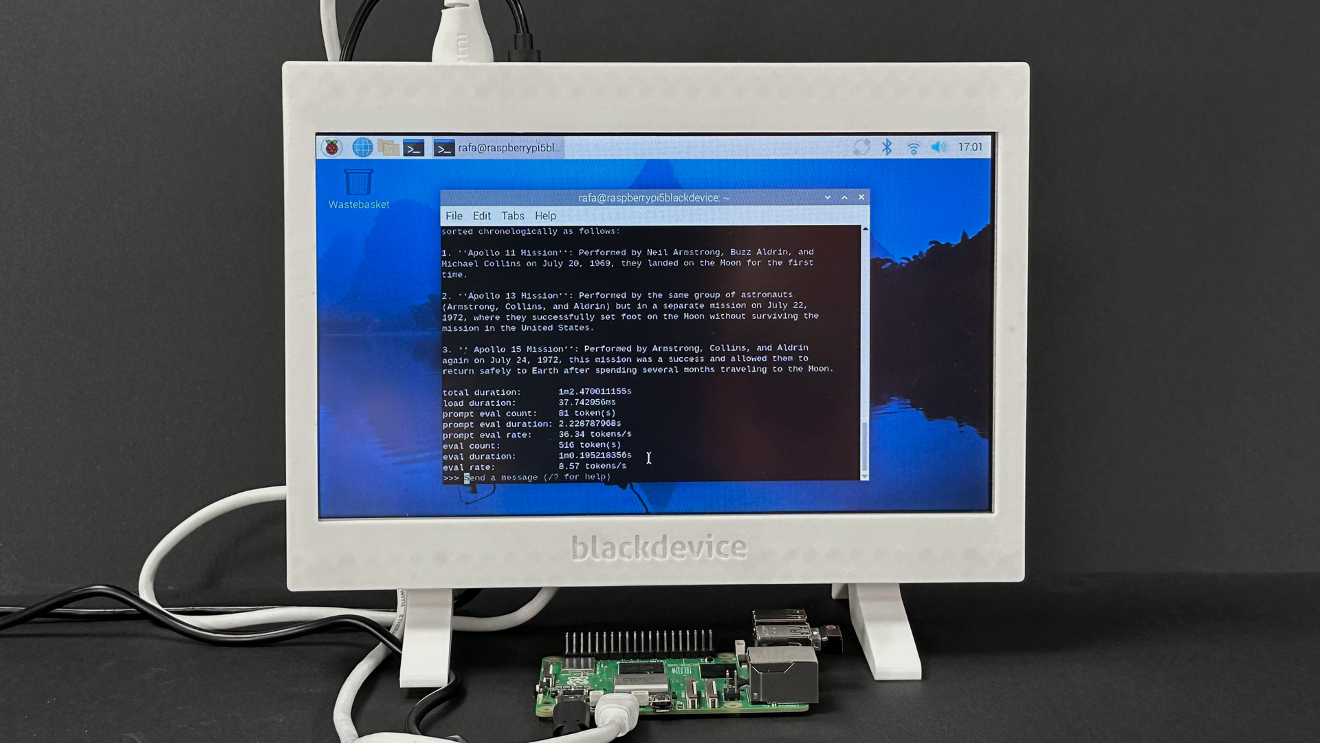 Run DeepSeek R-1 on a Raspberry Pi 5