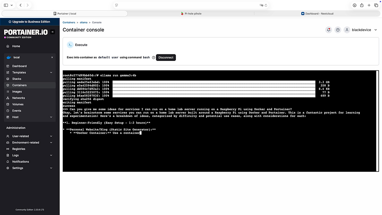 Ollama Portainer text console interface